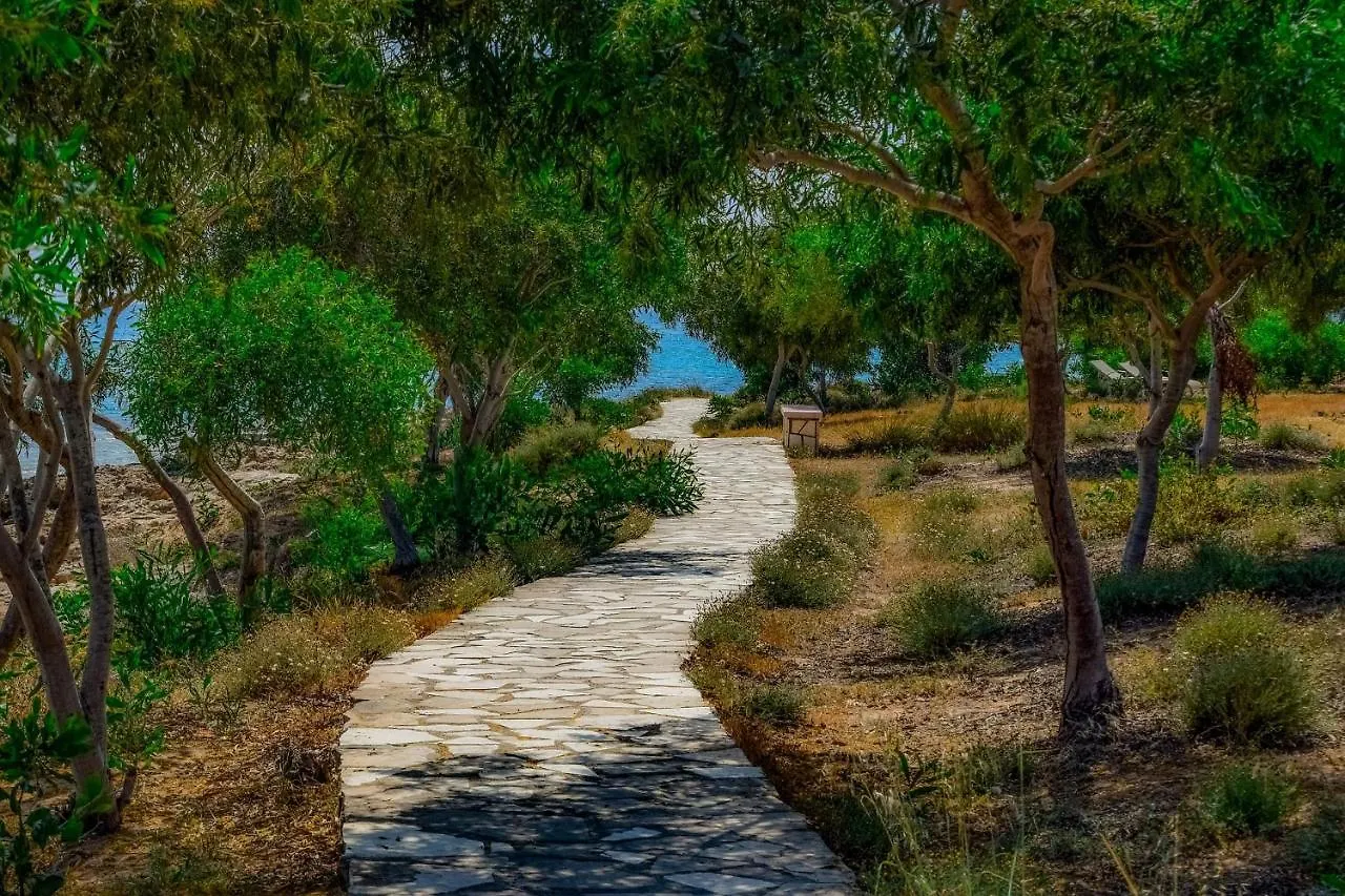 *****  Chrysomare Beach Hotel & Resort Ayia Napa Cyprus